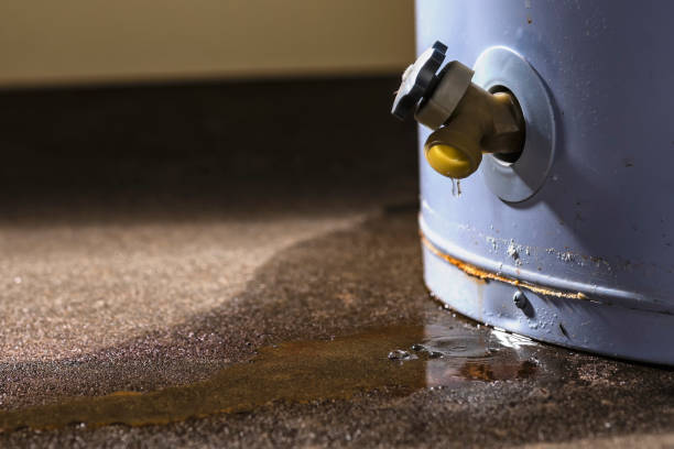Best Water damage restoration near me  in University Heights, IA