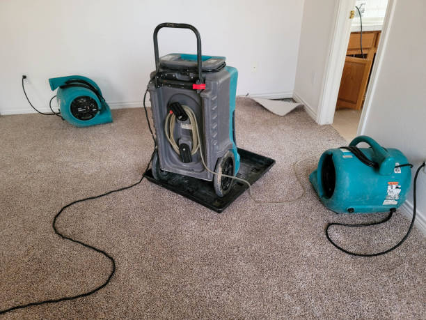Best Mold removal after water damage  in University Heights, IA