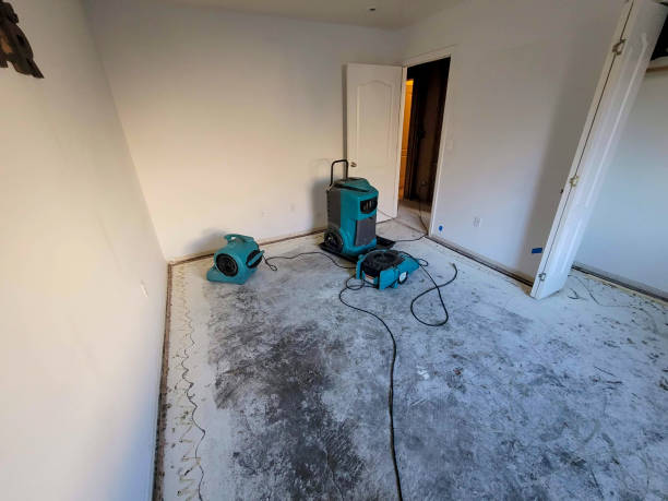 Carpet water damage restoration in University Heights, IA