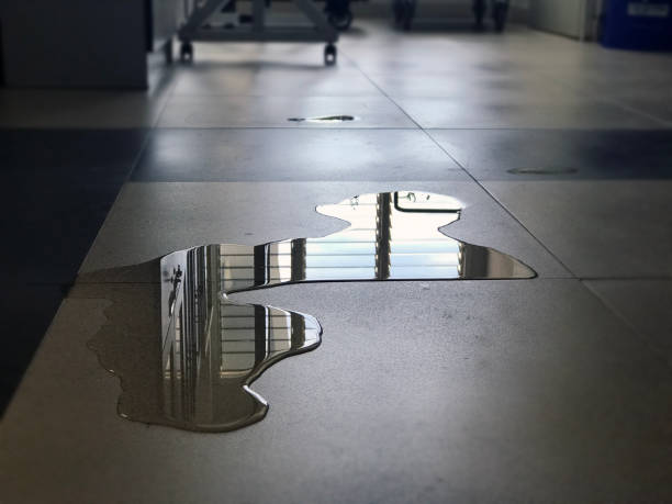 Professional Water damage restoration in University Heights, IA