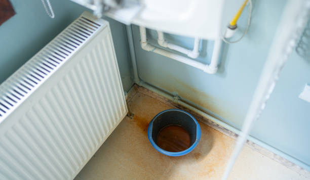 Best Water damage restoration near me  in University Heights, IA